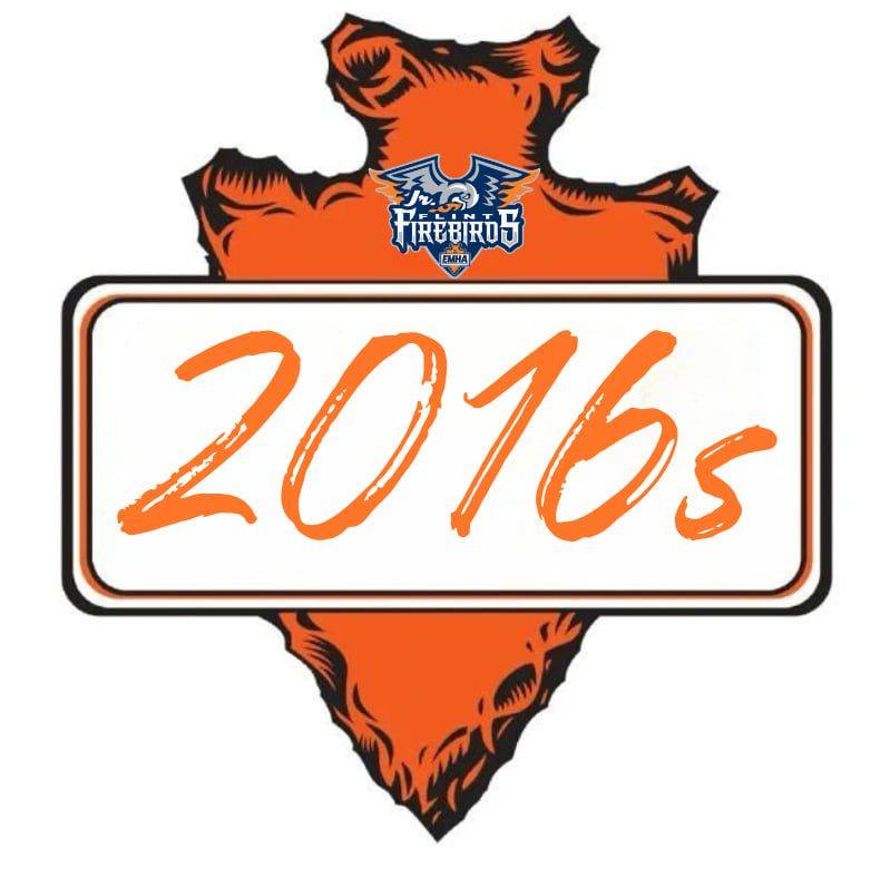 Flint Jr Firebirds Logo